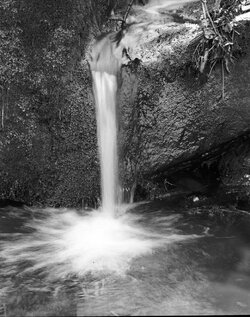 splash-neg-1.jpg