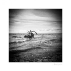 Holga-10.jpg Holga-10.jpg