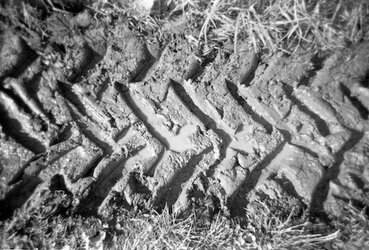 Rollei single use.jpg Rollei single use.jpg