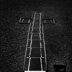 cross-dog-R.jpg