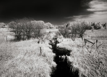 Country Stream - Infrared3.jpg