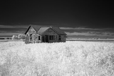 Holland_Marsh_1_IR_Web.jpg