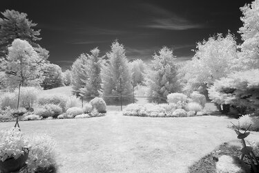 Backyard_View_IR_Web.jpg
