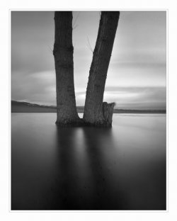 raw0014-copy-2.jpg