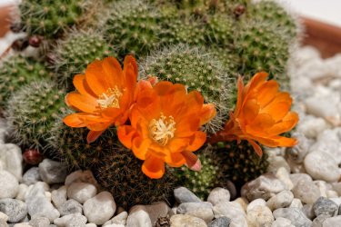 JNA_0001 (3)_M_DxO.jpg JNA_0001 (3)_M_DxO.jpg