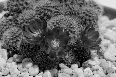 JNA_0001 (3)_1_DxO.jpg JNA_0001 (3)_1_DxO.jpg