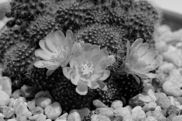 JNA_0001 (3)_2_DxO.jpg JNA_0001 (3)_2_DxO.jpg