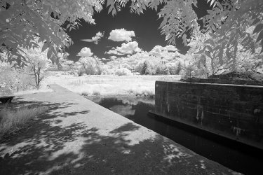 Nokiidaa_Trail_Lock_Mono_Web.jpg