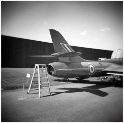Hunter with Ladder at YAM 2020.jpg