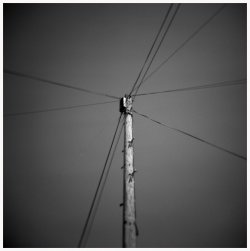Telegraph Pole at YAM.jpg
