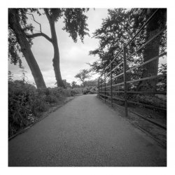 Cusworth Pinhole-5 copy.jpg