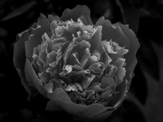 IMGP77018_edited (2).jpg