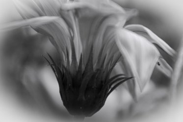 IMGP8224 -1-1_edited2.jpg