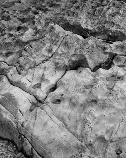 _HLN0018_1_DxO.jpg _HLN0018_1_DxO.jpg