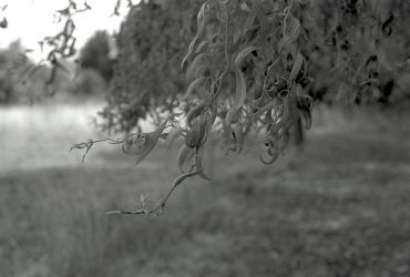 0006raw.jpg 0006raw.jpg