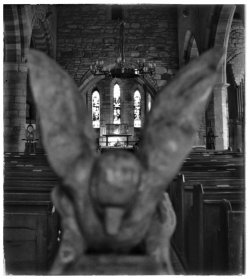 DSC_6573-02.jpeg