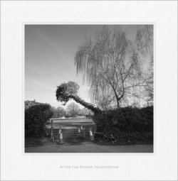 After_the_Storm_Ingatestone_5b.jpg