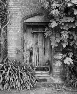 packwood 800.jpg