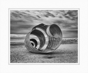 Beach Shell2.jpg