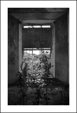 SCAN5017.jpg