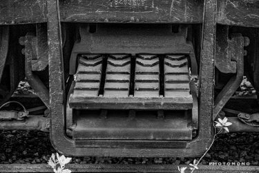 RR Truck Spring BW-SIG.jpg