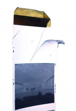 Film.jpg
