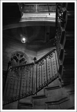 DSC_6554-01.jpeg