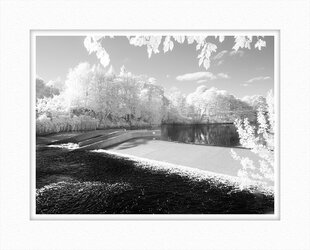 Barnard Castle Weir.jpg