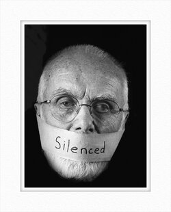 _1040505 Silenced 2 mounted.jpg _1040505 Silenced 2 mounted.jpg