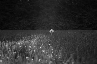 L1000138-Edit.jpg