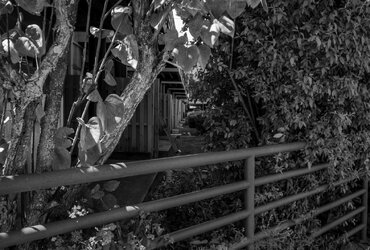 8270451-WIP-NR-SR-A.jpg