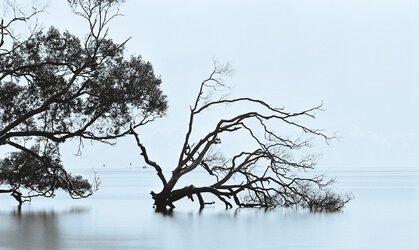 Nudgee Beach.jpg