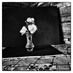 Хольга в Сельце 2020.jpg