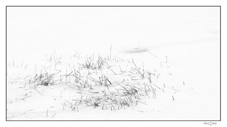 haselfurth_100206_47v1.cr2 1.jpg