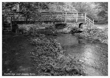 Footbridge over Causey Burn.jpg