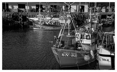 'The Gut'   Fish Quay North Shields.jpg