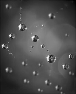 Jewels on Gossamer.jpg