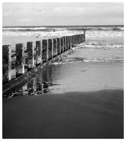 Portfolio 4_ Found_2412_D2.JPG