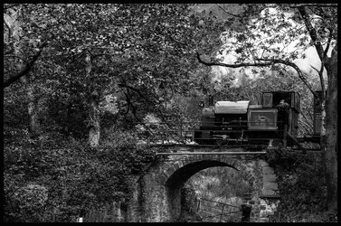 Tallyllyn Railway, The 3.40 from Dolgoch.jpg