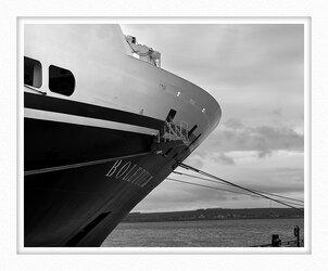 IMG_2426 Bolette bow mounted.jpg