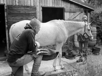 the farrier.jpg