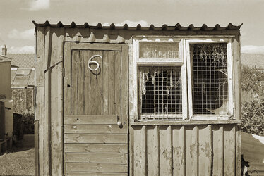 allotment shed.jpg
