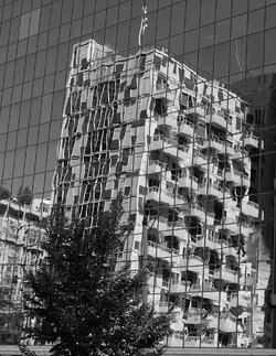 On reflection.jpg