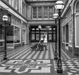 Archade solitude copy.jpg