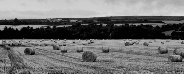 0021-d932a.JPG 0021-d932a.JPG