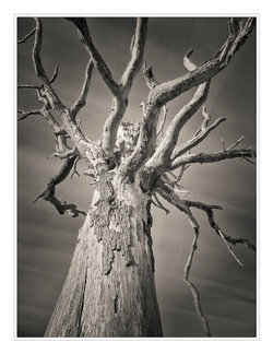 _MKH0594-Edit-2-copy.jpg