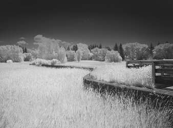 Rogers_Reservoir_3_IR_Web.jpg