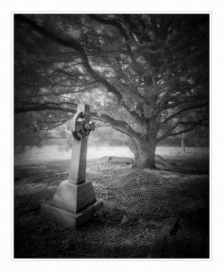 raw0015-copy.jpg