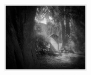 raw0017-copy.jpg