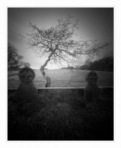raw0017-trixdiafine-copy-2.jpg